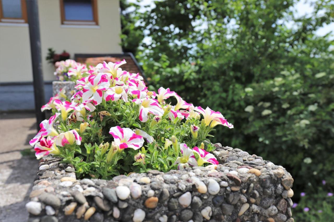 Gaestehaus Willaringen Rickenbach  Екстер'єр фото